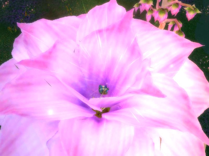 自己的一测截图